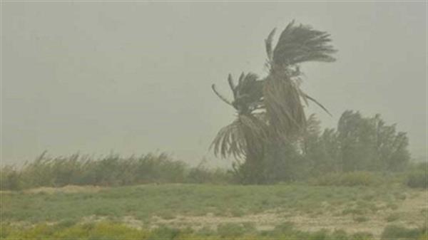 هواشناسی بوشهر: خلیج‌فارس تا فردا مواج است