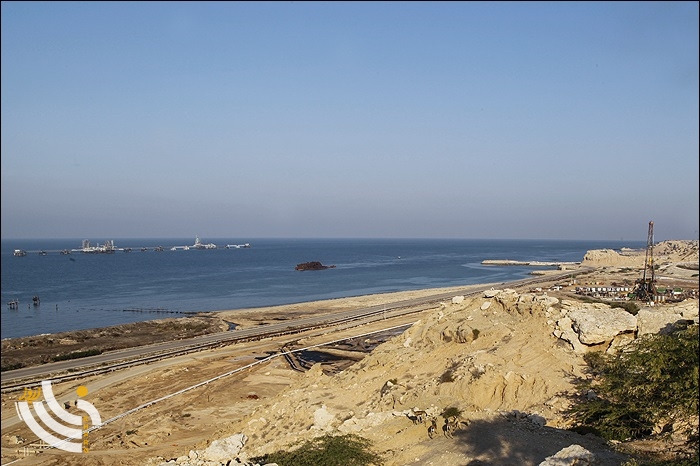 آهوان جزیره 6