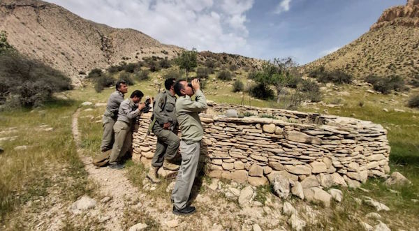 پرندگان آبزی زادآور در شهرستان تنگستان پایش شدند