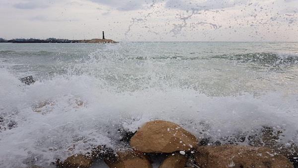باد جنوبی سواحل بوشهر را مواج می‌کند