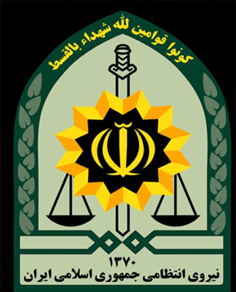نیروی انتظامی دشتستان: با مامور خاطی برخورد شد