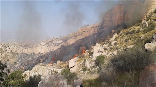 آتش سوزی در کوه‌های کردلان دشتی مهار شد