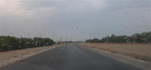 بارش ۵.۵ میلیمتر باران در جزیره خارگ
