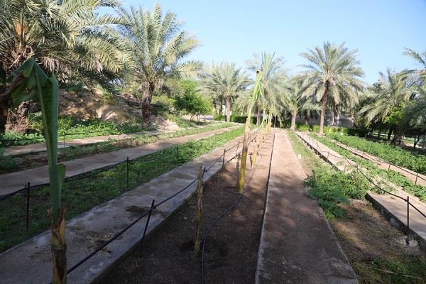 مشارکت پایانه های نفتی ایران در جهاد ملی کاشت یک میلیارد درخت