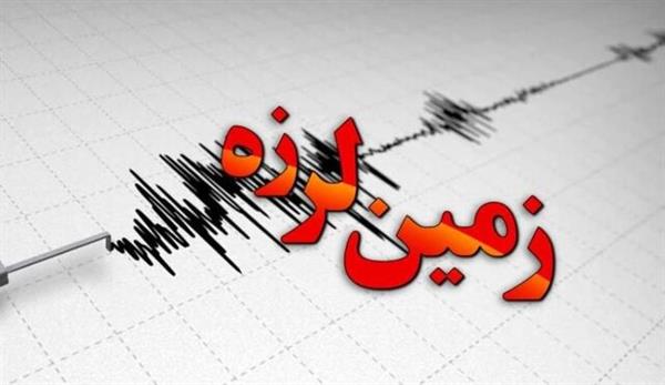 روزی که زمین، دشتی را تکان داد/ خطرپذیری لرزه‌ای در بوشهر بالا است