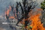 اعزام نیرو به ارتفاعات دشتستان برای اطفای حریق