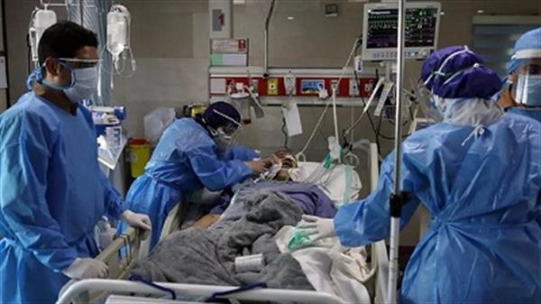 ۳۳ بیمار جدید در شبانه‌روز گذشته در بخش کرونایی بیمارستان‌های استان بوشهر بستری شدند