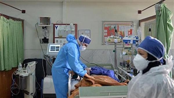 آخرین وضعیت کرونا در بوشهر؛از بستری شدن ۱۰۰ بیمار جدید تا قربانی شدن ۳ نفر دیگر