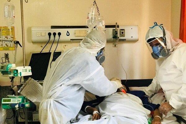 ۱۲ بیمار در بخش‌های کرونایی استان بوشهر بستری هستند