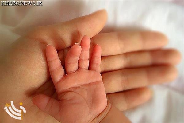 رئیس گروه جوانی جمعیت بوشهر: نرخ باروری در استان مطلوب نیست