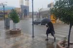باران تابستانی به استان بوشهر آسیب نزد
