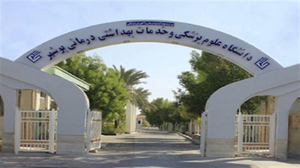 مشکل نیرو‌های ساعتی دانشگاه علوم پزشکی بوشهر برطرف شد