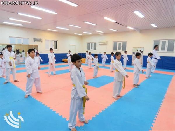 داور بوشهری در مسابقات جهانی تکواندو قضاوت می‌کند