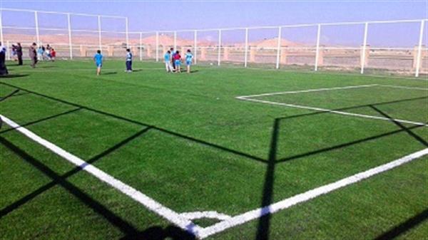 زمین چمن طبیعی فوتبال روستای عامری دیلم افتتاح شد