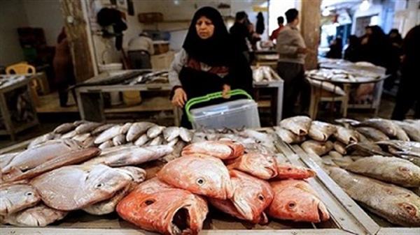 بازار جدید ماهی‌فروشان بوشهر در کنار ساحل ایجاد شود