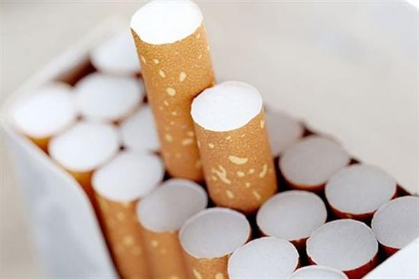 ۲۵ هزار نخ سیگار قاچاق در سواحل استان بوشهر کشف شد