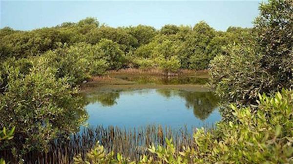 برخورد قانونی با تخریب کنندگان محوطه تاریخی "نای‌بند" انجام می‌شود