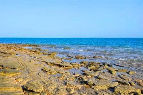 سواحل استان بوشهر تا پایان هفته متلاطم است