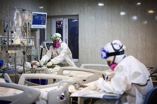 روند ابتلا به بیماری کرونا در استان بوشهر افزایش یافت