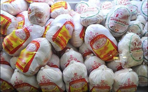 تولید گوشت مرغ گرم در استان بوشهر افزایش یافت