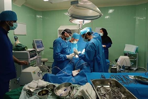 دومین ایثار ماندگار استان بوشهر در سحرگاه شهادت حضرت علی(ع)