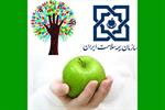 ۵۰۰ هزار نفر در بوشهر بیمه سلامت می‌شوند