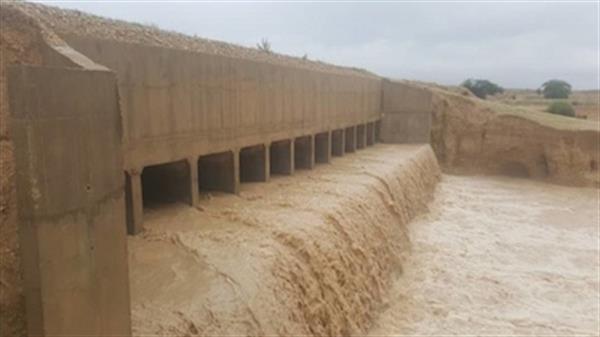 ۶۰ درصد حجم مخزن سد رئیسعلی دلواری استان بوشهر خالی است