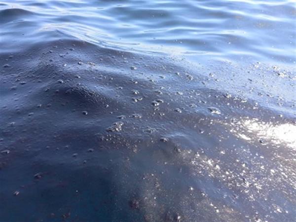 آلودگی نفتی در ۲ منطقه از شهرستان دیلم رخ داد