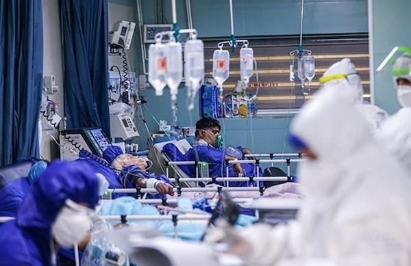 افزایش بیماران کرونایی در استان بوشهر/ ‌اعلام وضعیت قرمز ‌در ۴ شهر / شدت انتقال ویروس ‌افزایشی شد