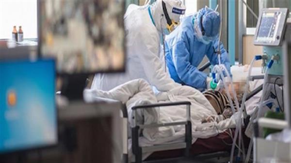 تعداد بیماران کرونایی در استان بوشهر به ۴۴ نفر کاهش یافت