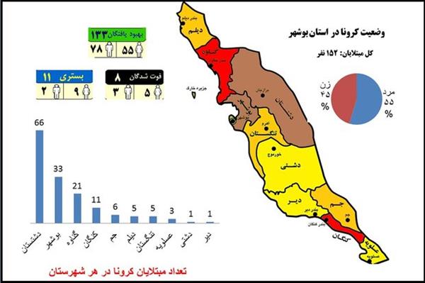 جولان کرونا در شهرهای بزرگ استان بوشهر/ هیچ نقطه سفیدی نداریم
