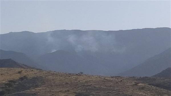 آتش در ارتفاعات منطقه کوه سیاه دشتستان مهار شد
